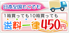 送料一律250円