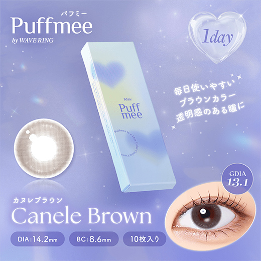 パフミーワンデー カヌレブラウン 10枚入り（×4箱）